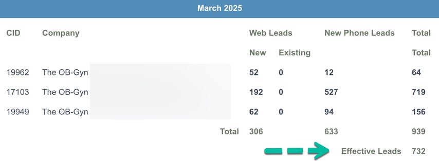 Example 3: ROI medical marketing dashboard - March 732 effective leads. Example 3: ROI medical marketing dashboard - March 732 effective leads.