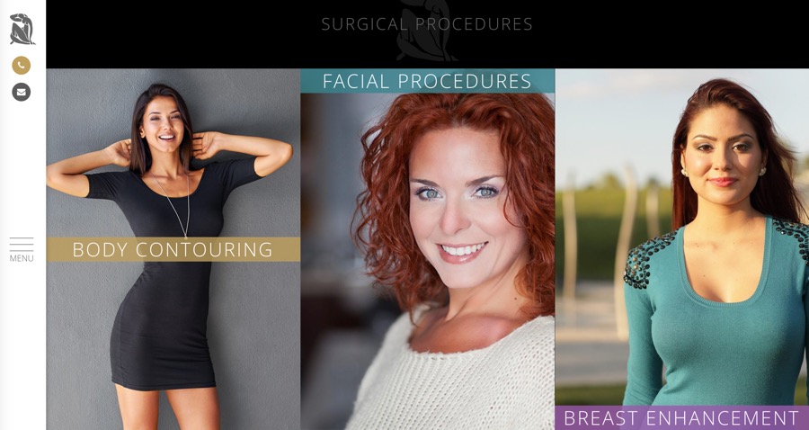 Example 2:  Custom design using customer driven look and feel &  aesthetics